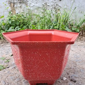 Chậu lục giác mai 400 đá đỏ